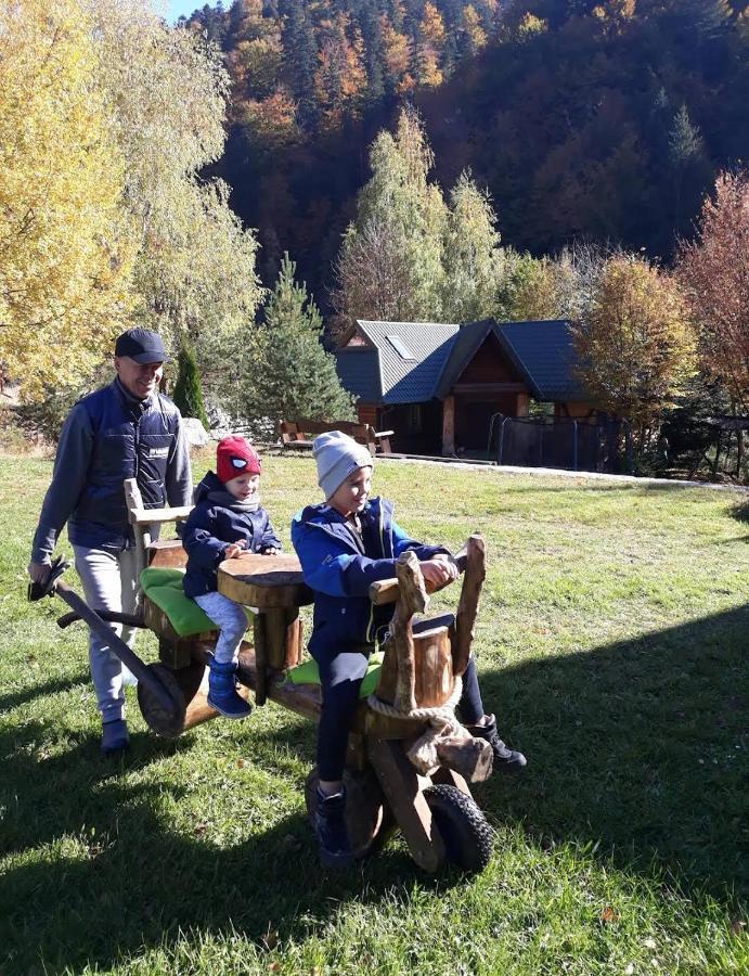 зарінок карпат *